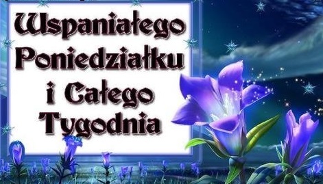 Niebieskie kwiaty wspaniałego tygodnia